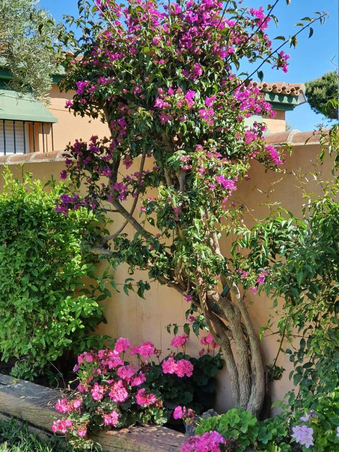 Villa Ostrero Chiclana de la Frontera Esterno foto